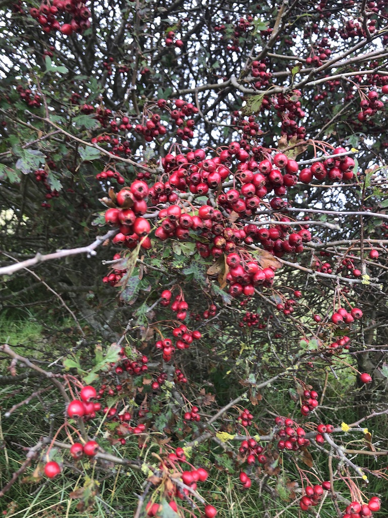 September 28th 2020  . 